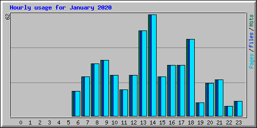 Hourly usage for January 2020