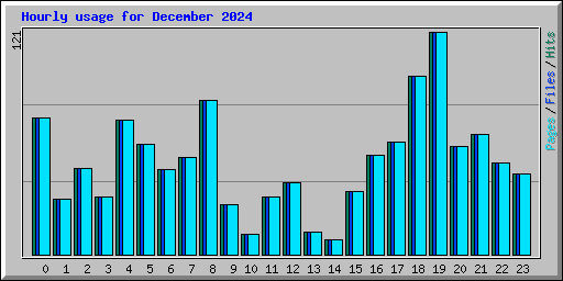 Hourly usage for December 2024