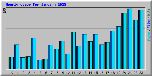 Hourly usage for January 2025