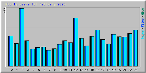Hourly usage for February 2025
