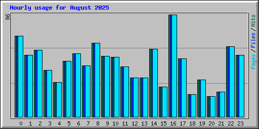 Hourly usage for August 2025