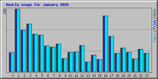 Hourly usage for January 2026